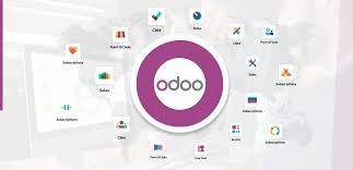 Odoo  Accountant  End user  Level 1 